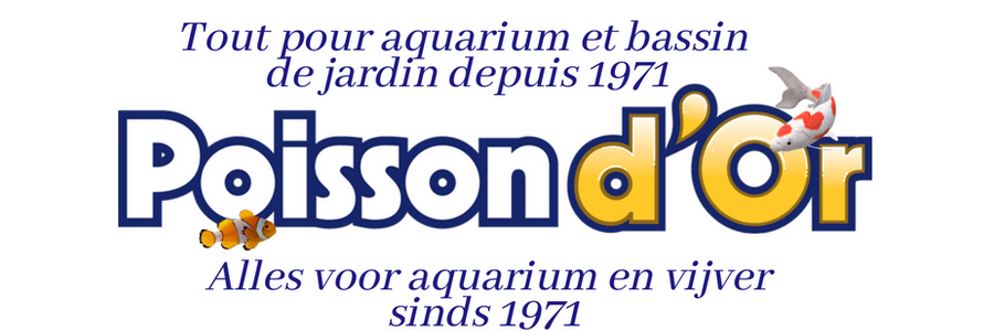 Sponsor Rotary Poisson D'Or